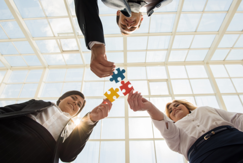 Digital Workshop (OECD-IOTA Partnership Event) on Tax Debt Management Maturity Model
