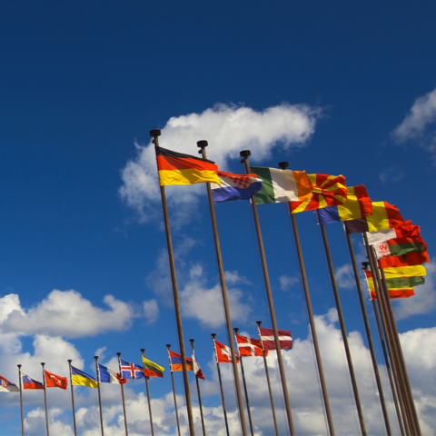 Webinar “Addressing the Future Developments of International Cooperation in Tax Matters”