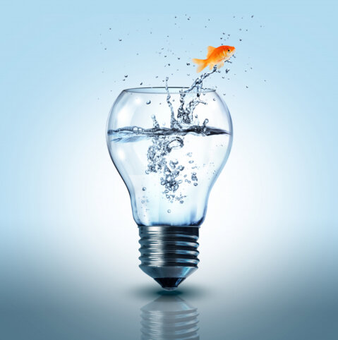 Special Interest - Case Study Workshop “Transfer Pricing Special Issues: Intangible Asset Value Creation/Determination"