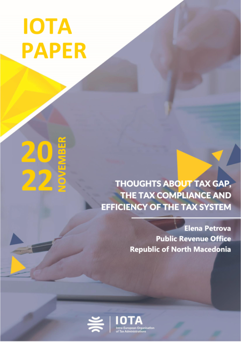 Thoughts about Tax Gap, the Tax Compliance and Efficiency of the Tax System