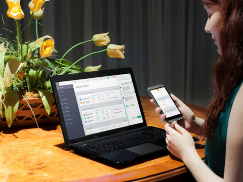 Estonian Tax and Customs Board Launched an Entrepreneur Account for Natural Person