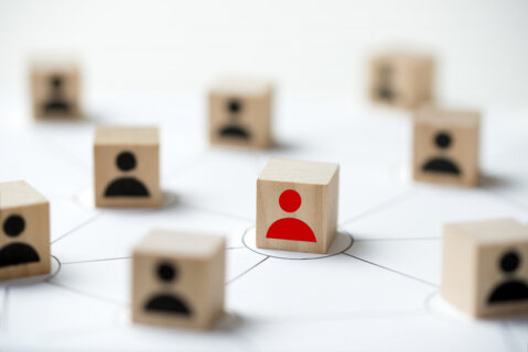 Webinar on Social Network Analysis - Use of the Network Analysis to Detect Tax Frauds