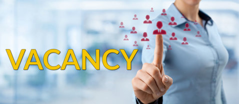 We are looking for a seconded tax expert to join the Secretariat