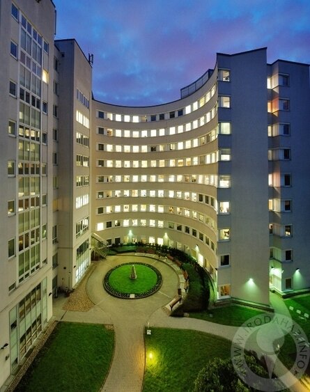 Meeting of Debt Management Steering Group