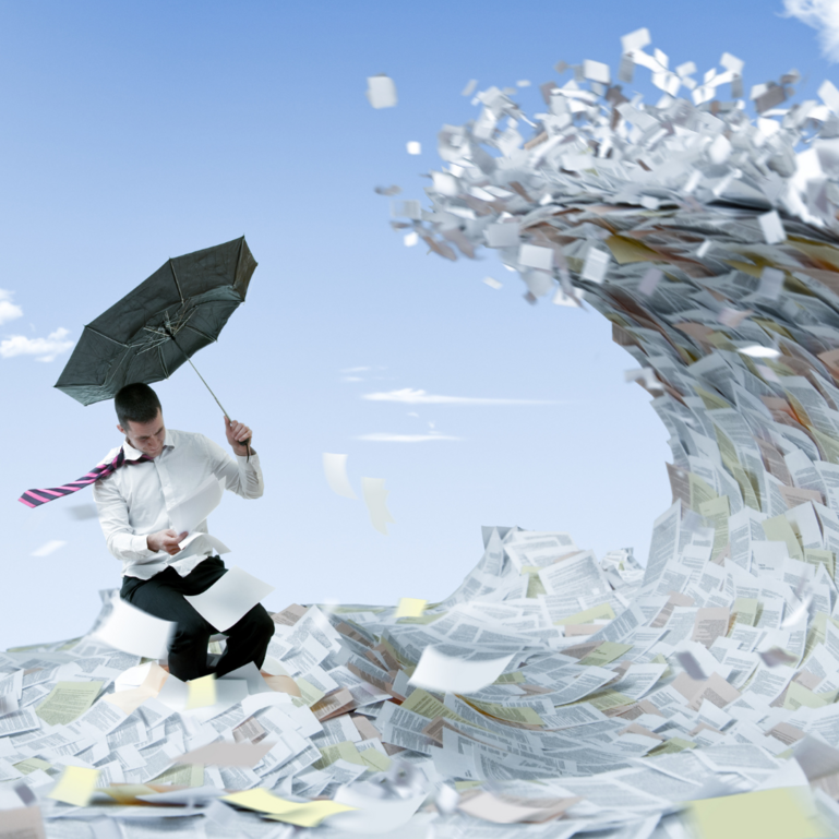 Webinar “Optimisation of Tax Declaration Processes for Individuals”