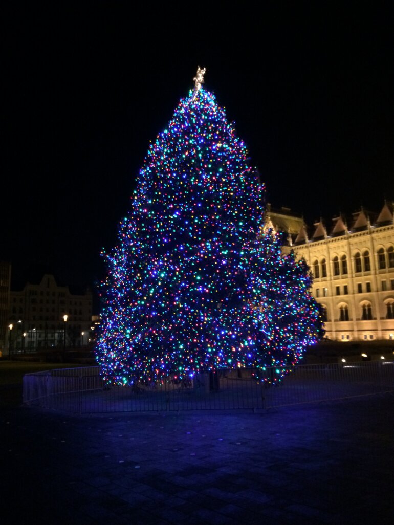 Combating VAT Fraud Forum Steering Group Meeting