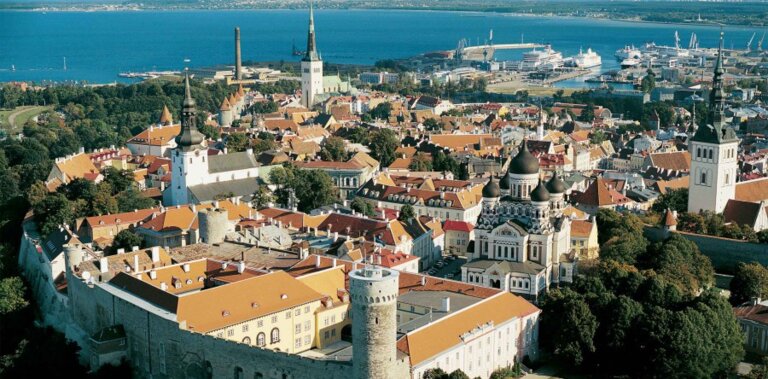 Tax Professional Learning and Development Forum 