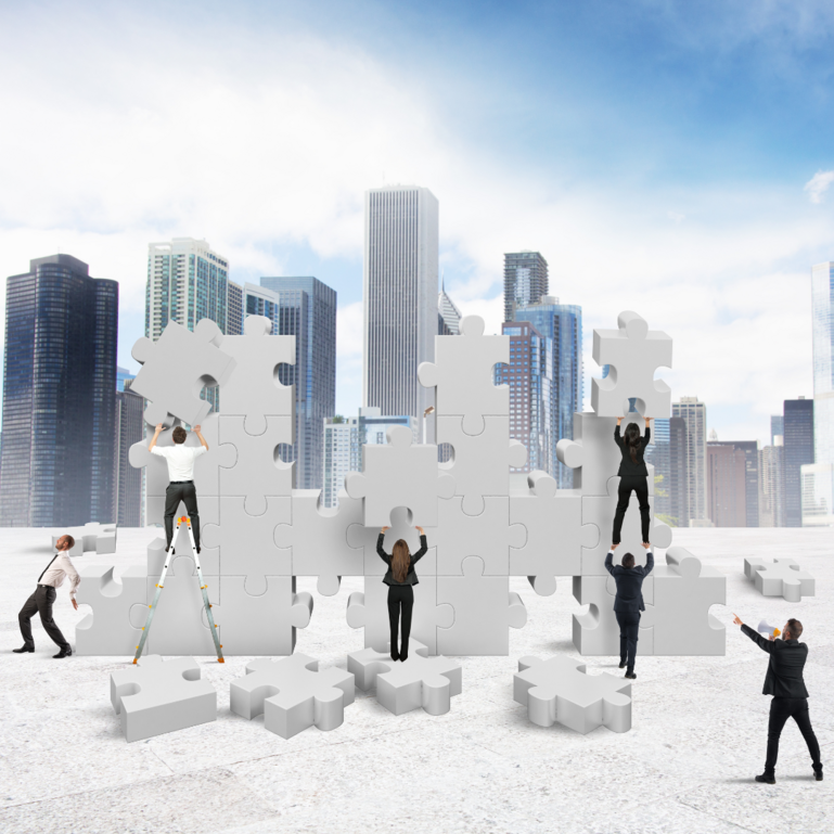 Digital Workshop on “Use of Data from Information Exchange under the OECD BEPS 12 Action Plan and EU DAC 6"