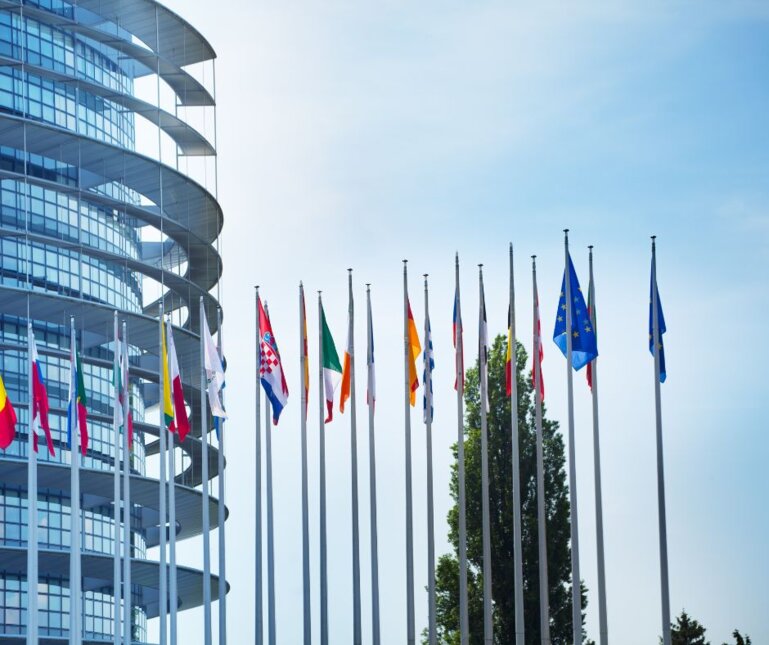 About IOTA - Organisation